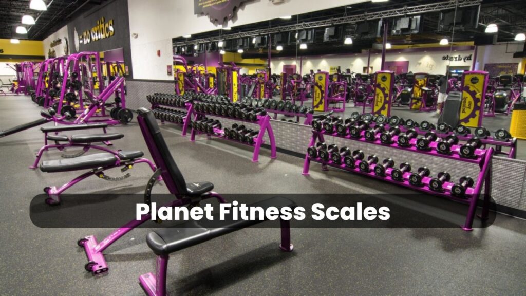 Does Fitness have Scales? Scale at Fitness (2024)
